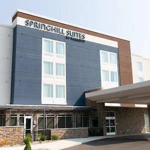 Springhill Suites By Marriott South Bend Notre Dame Area